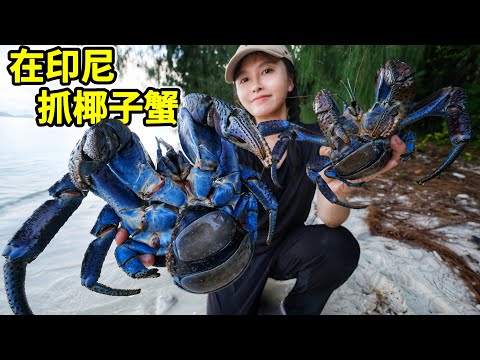 Indonesia Catches Giant Coconut Crabs: Clever Traps Snare Three Specimens—What Do They Taste Like?