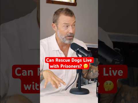 Could dogs from the shelters live with prisoners and be trained?