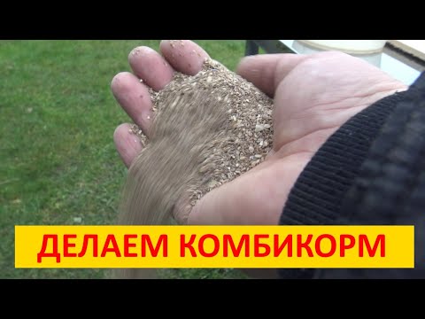 Самодельный комбикорм для кур несушек. Подробно о приготовлении комбикорма своими руками.