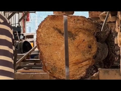 From Raw Log to Lumber — Cutting a Massive Hardwood Log on a Bandsaw
