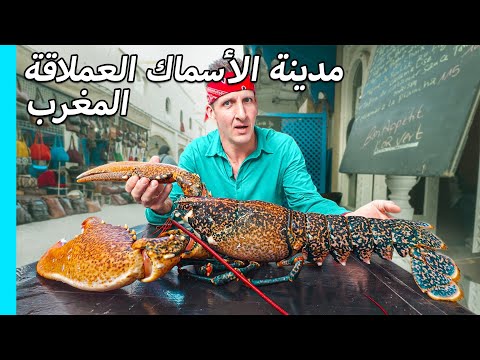 الصويرة.. مدينة الأسماك العملاقة وأشهى المأكولات البحرية في المغرب
