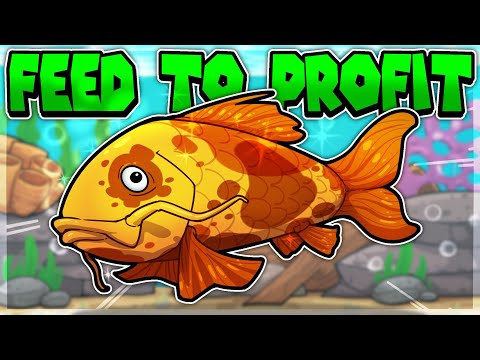 I paid my rent by raising fish