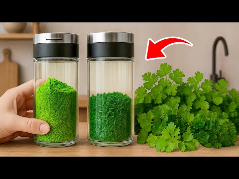 Stop Buying Cilantro & Parsley Powder! This Simple Kitchen Trick Saves You Money! | Tracy Tips