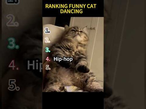 Ranking funny cat music dancing.😂 #cats #funnycats #shorts #memes #funnyvideos