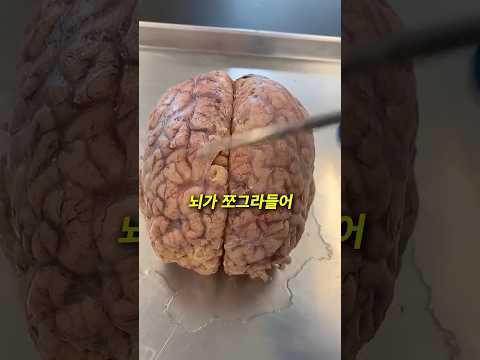 This is what happens to your brain when you drink coffee ㅠ