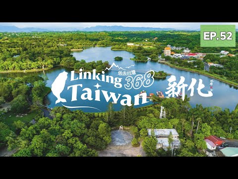 【臺南新化】EP52 完整版|Linking368Taiwan