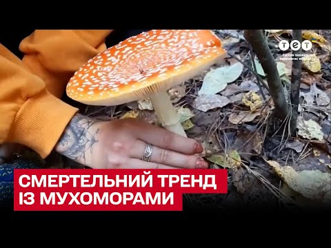 🍄 Українці подуріли! Їдять отруйні мухомори заради відео для соцмереж
