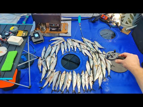 I'VE BEEN WAITING FOR THIS FISHING TRIP ALL YEAR!!! FISHING FOR RIPUS ON LAKE UVILDY