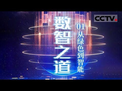 《数智之道》01 从绿色到智能:金沙江畔的奇迹!白鹤滩水电站选址、勘探、设计的艰难与挑战【CCTV纪录】