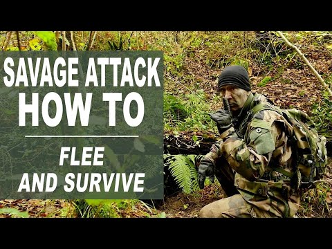 Survivor of an ATTACK... Escape, hunt, evasion. How to vanish into the wild.