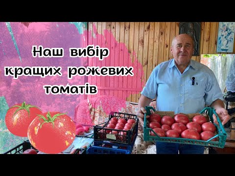 Our pick of the best pink tomatoes