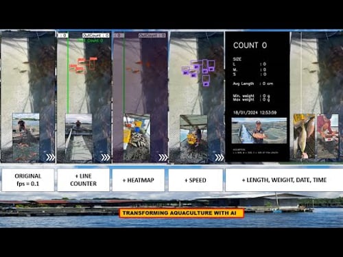 Transforming Aquaculture With AI