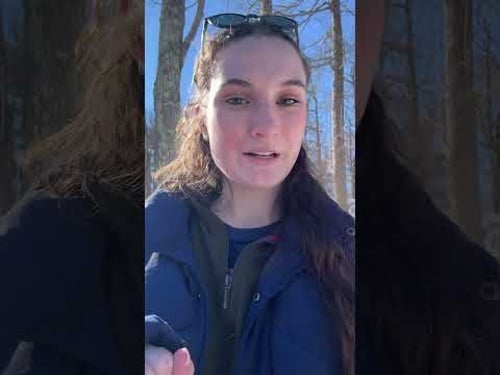 Another Friday, another recap! Builder: @trudesignbuild Designer: @amyjmarkus @trudesignbuild