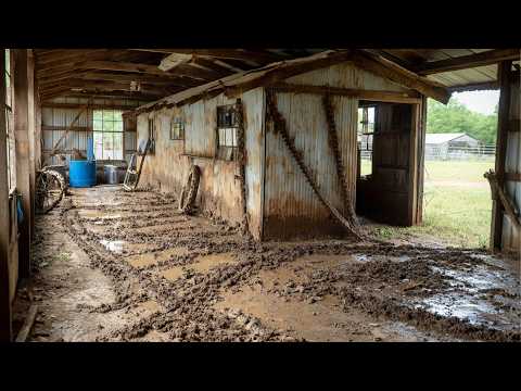 Man Turns Old Garage Into His Dream Workshop | Start to Finish by @Daily Bergstrom