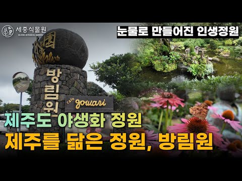 제주의 정원, 방림원에서 만나는 자연의 아름다움 #정원 #가드닝 #정원가꾸기 #정원꾸미기 #방림원 #제주도방림원 #식물 #정원관리