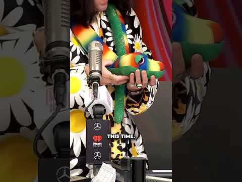 Singer Brings Live Boa Constrictor Named "Pencil" to Radio Interview