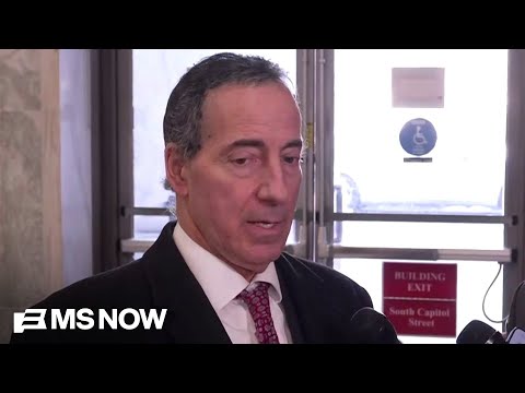 Rep. Raskin: ‘Puzzling, mysterious redactions’ in Epstein files