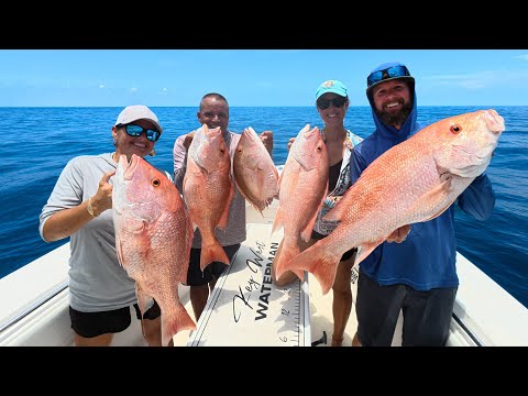 How To Catch Red Snapper | Cut Bait Dumb Dumb Rig | CCC