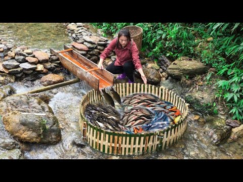 FULL VIDEO 25 days beautiful girl Diep fishing, trap fish and catch a lot of fish to sell.