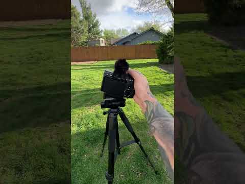 $32 vs $680 Travel Tripod
