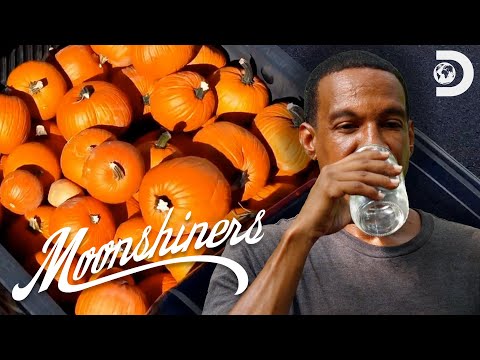 Most Delicious Brews from Season 14 | Moonshiners | Discovery