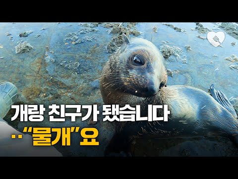 낚시하다가 물개와 친구된 사연