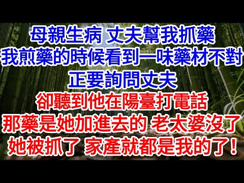 母親生病,丈夫幫我取回中藥,我煎藥時候看到一味藥材不對,正要詢問丈夫卻聽到他在陽臺打電話:那藥是她加進去的,老太婆沒了她被抓了,家產都是我的#為人處世#生活經驗#情感故事#故事#小說#戀愛#情感#婚姻