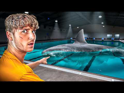 SWIMMING In A SHARK INFESTED POOL.. (Full Game)