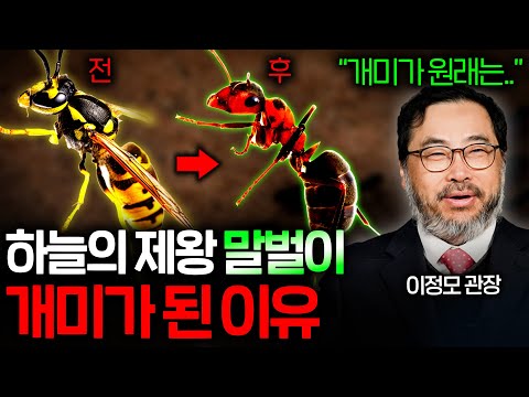 Are Ants Really Bees? | Ants vs. Bees: Which Is More Successful? | Science Week EP.47