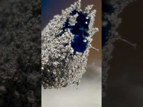 cult follower open cylinder liquid marbles