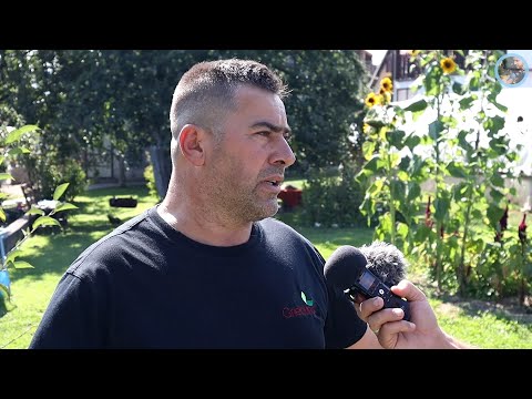 „Za mjesec zaradim osam plata, ovo nema u Njemačkoj“