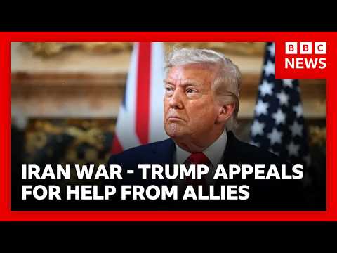 President Trump appeals to allies to help defend Strait of Hormuz from Iran’s attacks | BBC News