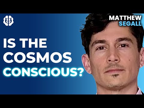 Is the Universe Ensouled with Experience? Consciousness, Cosmology, and Meaning | Matthew Segall