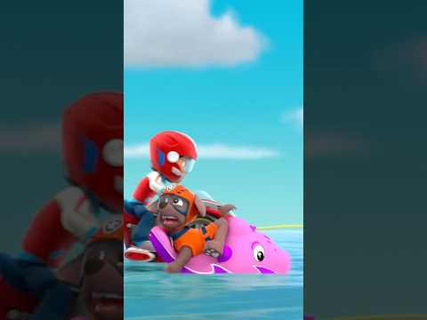Even dolphin pups like to play 🐬 Paw Patrol is now playing on Netflix!
