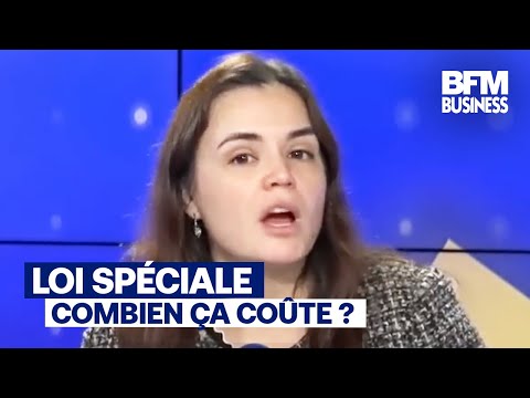 Budget 2026 : "Avec la loi spéciale, la France reste dans un mode dégradé !" (Dorothée Rouzet)
