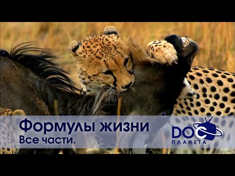 Формулы жизни - Все части -Документальный фильм
