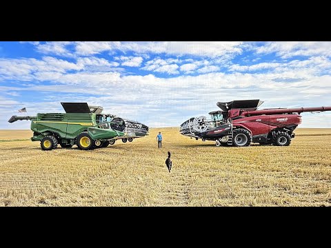 The Case IH AF11 VS John Deere X9 1100. Harvest 2025 Pt.1