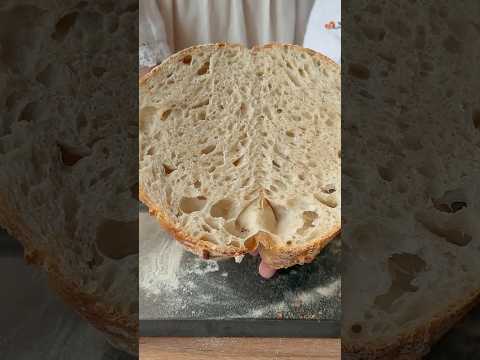 The Fastest Sourdough Starter Ever - The Ancient Way to Make Bread ππ