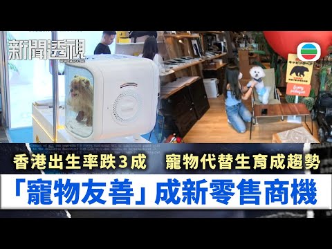 新聞透視|出生率跌養寵物增 「寵物友善」成新零售商機|(繁/簡字幕)|無綫新聞 |TVB News