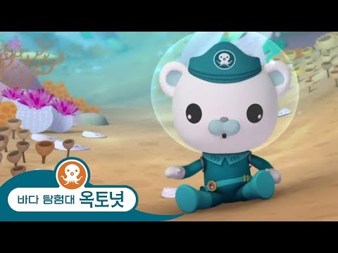 바다 탐험대 옥토넛 - 바나클 대장 기절하다 - 모음집