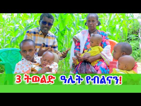 ኣብ ዓሌትና 3 ትወልድ የብልናን ኢሉ በዓል ቤታ ዝገደፋ ዘኽታም ሃረጉ ኣዶ ረኺባ-ተመስገን!!