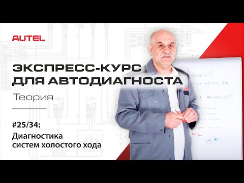 25/34: Diagnostics of the gasoline engine control system. Diagnostics of the idle system. Theory