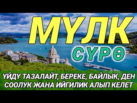 СҮРӨ АЛ МҮЛК| АР КАНДАЙ ЖАМАНДЫКТАН ЖАНА КӨЗ ТИЙҮҮДӨН КОРГОЙТ, ООМАТ, БЕРЕКЕ ЖАНА ЫРЫСКЫ АЛЫП КЕЛЕТ