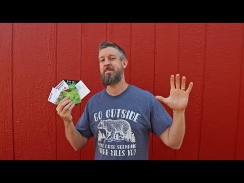 My Top 5 Best Seed Sources (Number 3 Will Make You Cry)