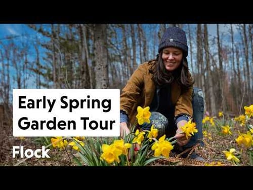 Early SPRING GARDEN Walk + Upcoming Garden Chores — Ep. 301