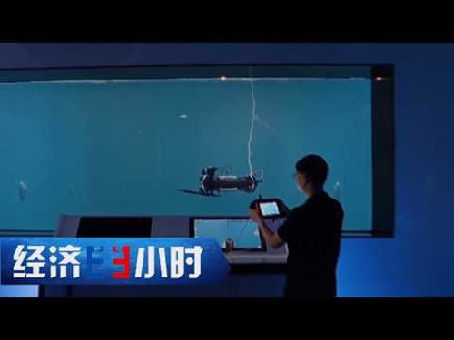 《经济半小时》 20260126 中国经济坐标:西部高质量发展“领头羊” | 财经风云