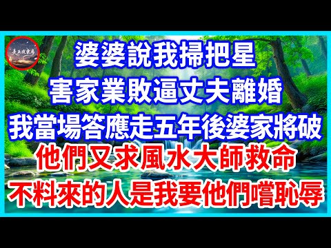 婆婆說我掃把星,害家業敗逼丈夫離婚,我當場答應走五年後婆家將破,他們又求風水大師救命,不料來的人是我要他們嚐恥辱!#為人處世 #生活經驗 #情感故事 #故事 #小說 #戀愛 #情感 #婚姻