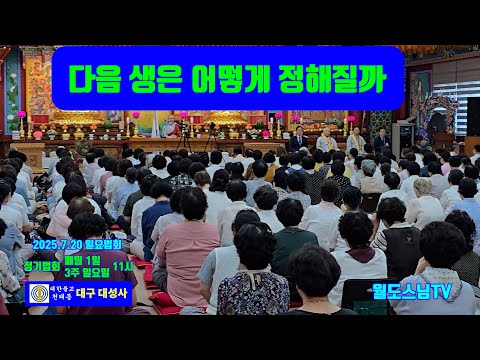 다음 생은 어떻게 정해질까?(2025.7.20 일요법회)