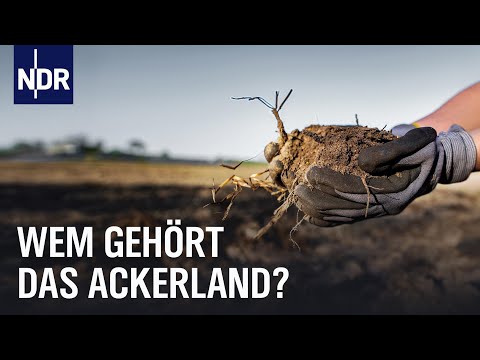 Ackerland als Kapitalanlage: Für Landwirte bald unbezahlbar? | Doku | NDR Story