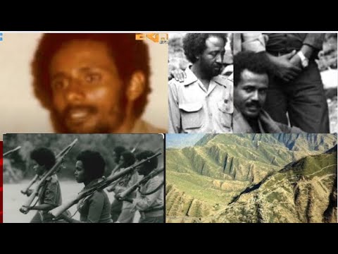 ቊጽሪ 69: "ምስጢር እንተ 'ውጺእካ: መቕጻዕታ ሞት'ያ!"